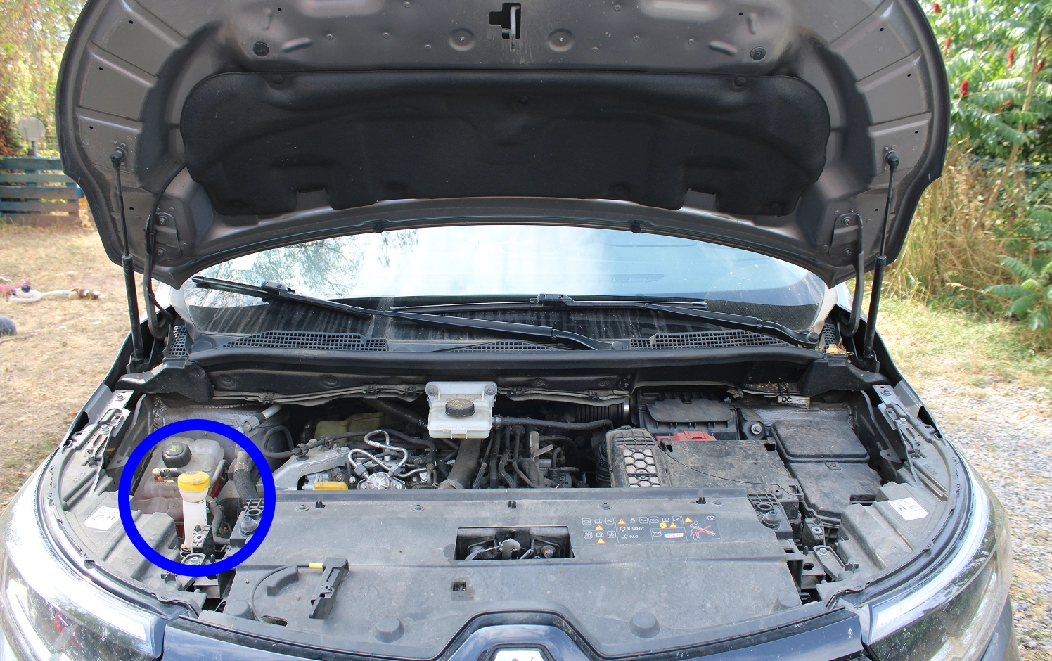 Image de l'endroit où ce trouve le bouchon de lave-glace dans un Renault Kangoo